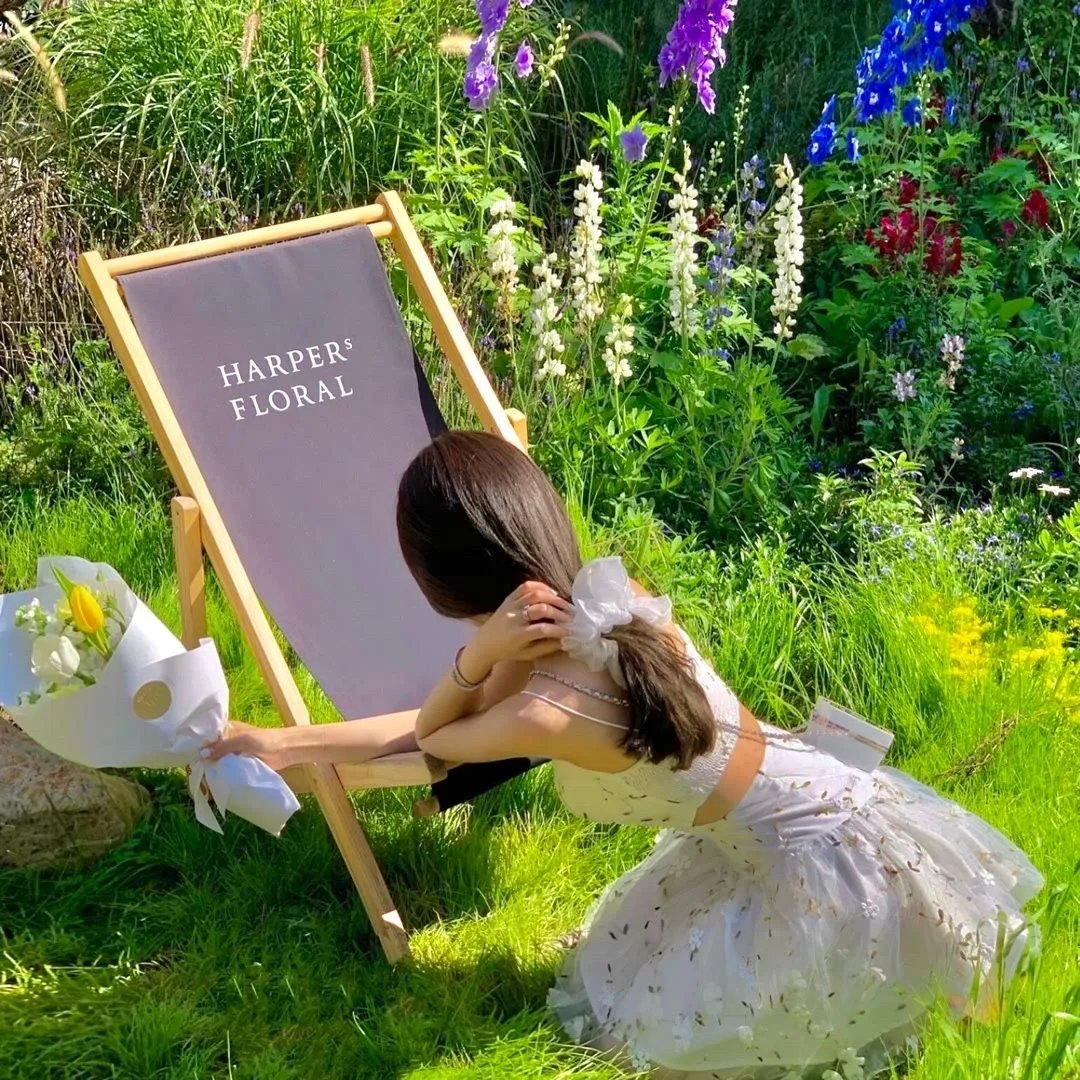 穿越异界我瞎编功法